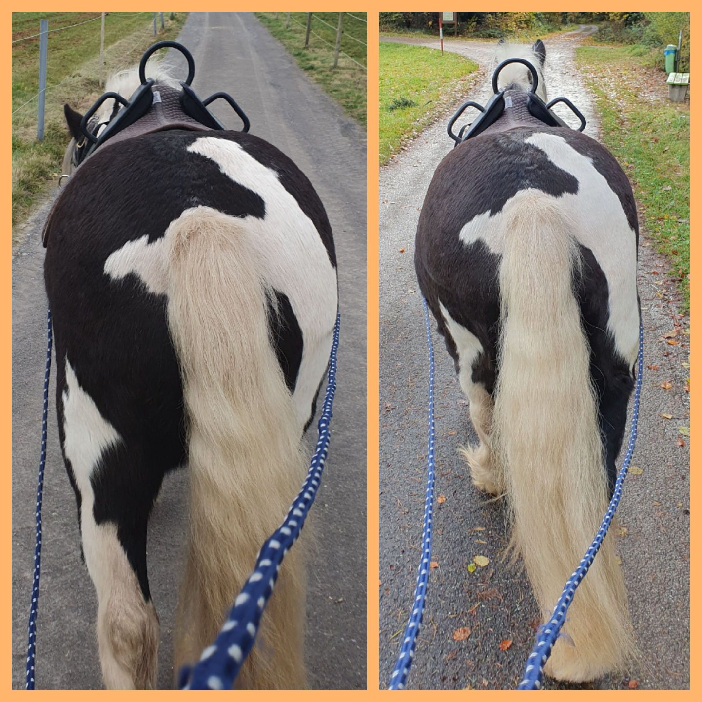 2023 11 November 595